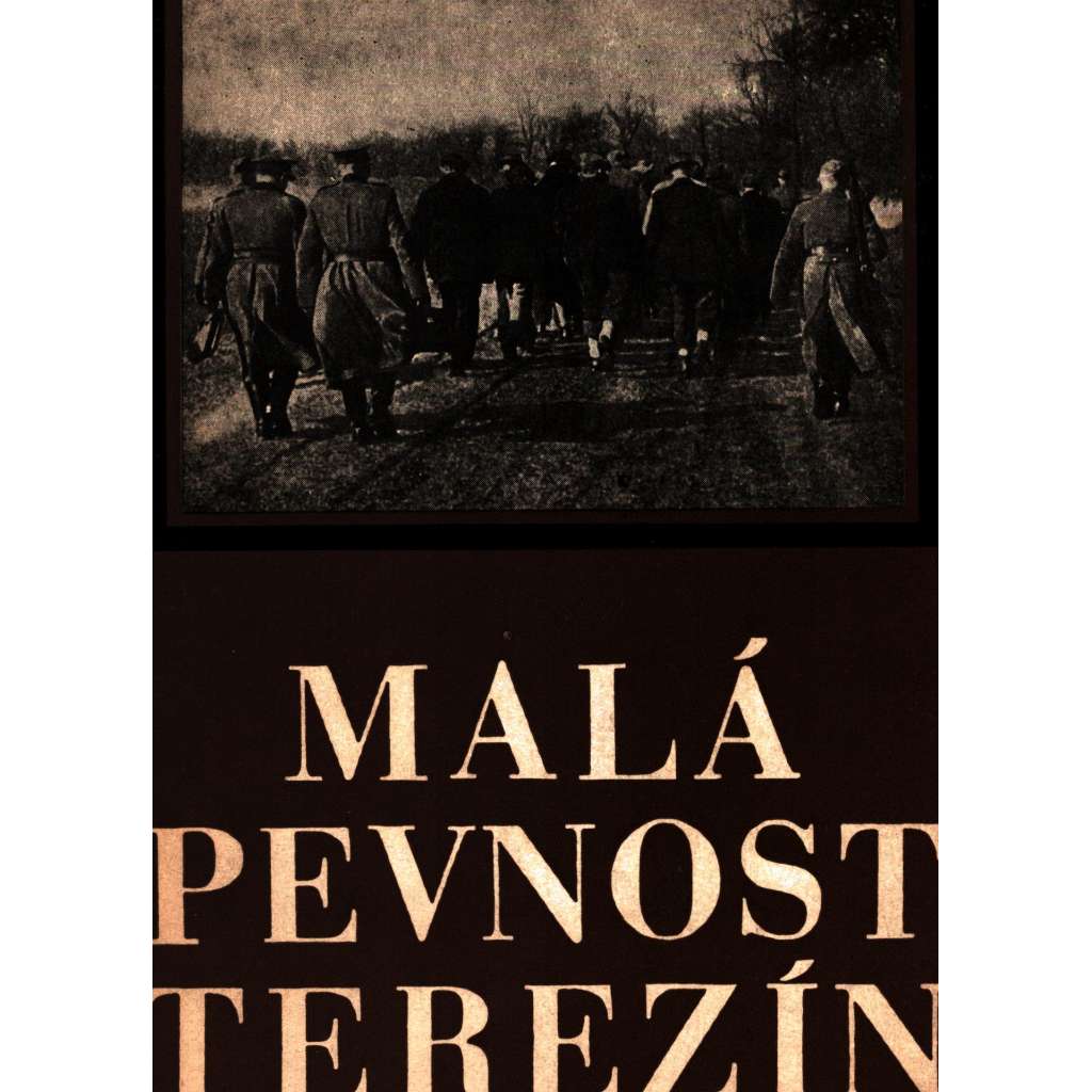 Malá pevnost Terezín (druhá světová válka, historie, nacionalismus, koncentrační tábor, antisemitismus)