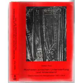 Rochaden zwischen Unterwerfung und Widerstand. Oberschlesische Bergarbeiter 1871-1914 [hornoslezští horníci]