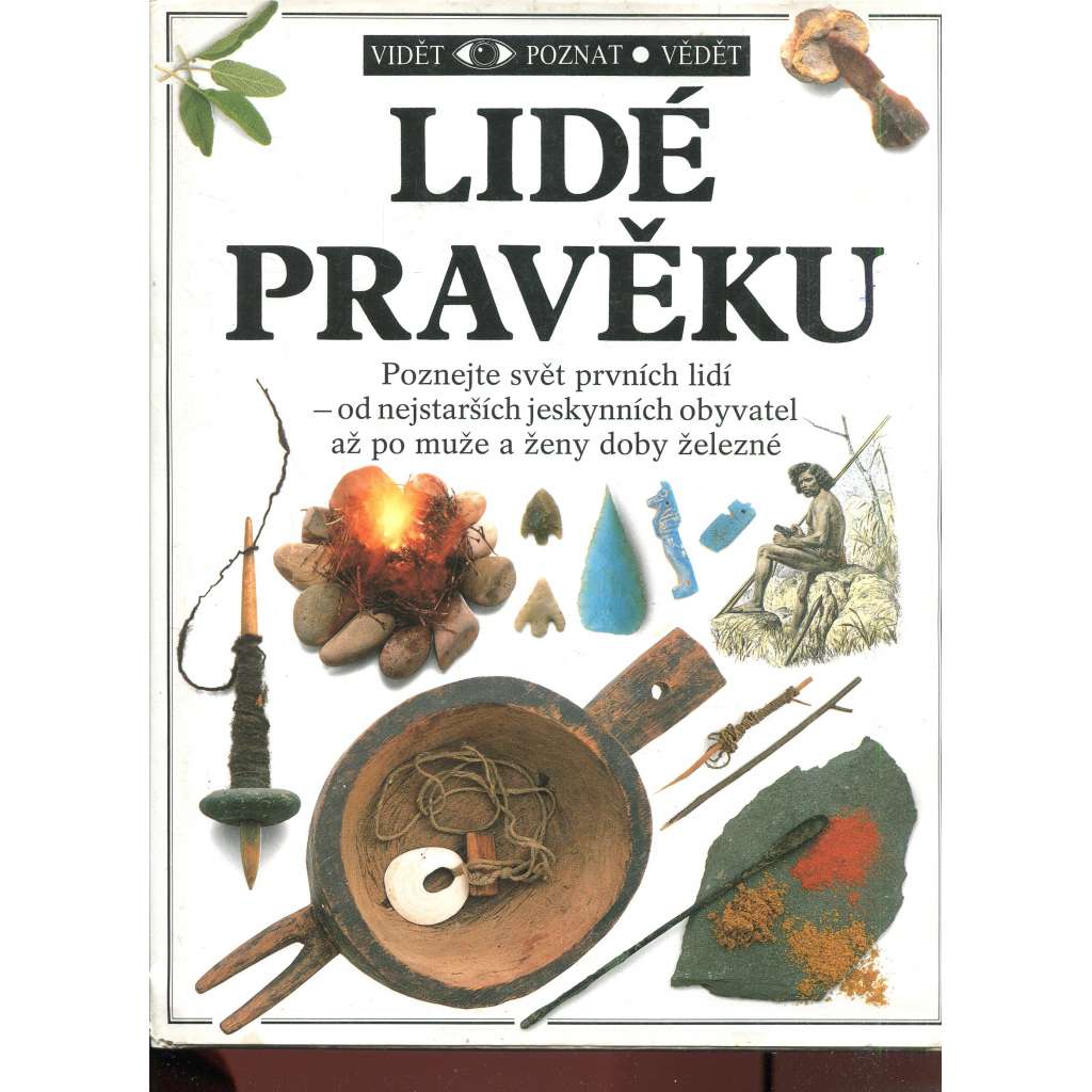 Lidé pravěku (archeologie)