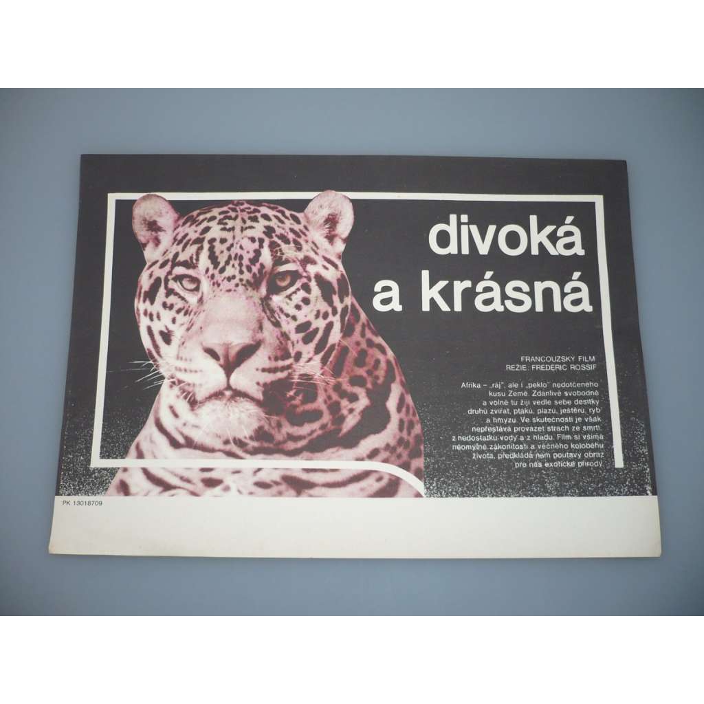 Divoká a krásná (filmový plakát, papírová fotoska, slepka, film Francie 1984, režie Frédéric Rossif, Jean-Charles Cuttoli, Hrají: Richard Berry (vypravěč))