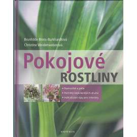 Pokojové rostliny