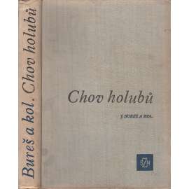 Chov holubů (holubi)