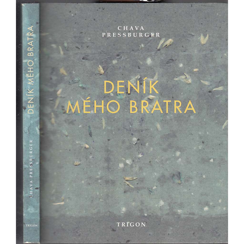 Deník mého bratra (Petr Ginz)