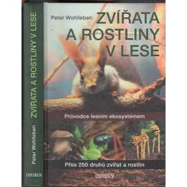 Zvířata a rostliny v lese