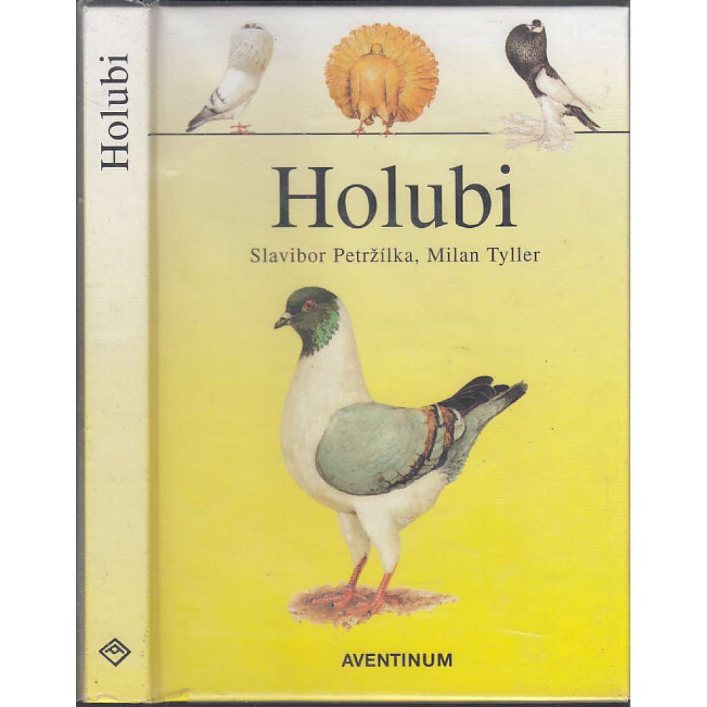 Holubi