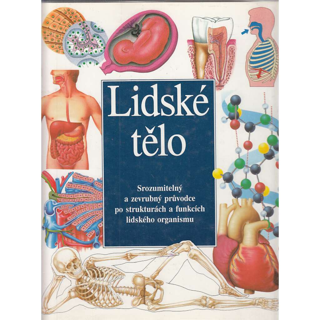 Lidské tělo [průvodce po strukturách a funkcích lidského organismu, anatomie pro děti; člověk]