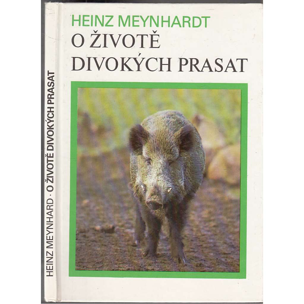 O životě divokých prasat (divočák)