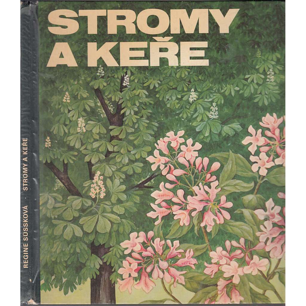 Stromy a keře