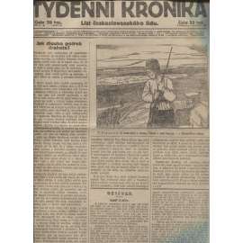 Týdenní kronika (31.7.1919) - staré noviny, 1. republika