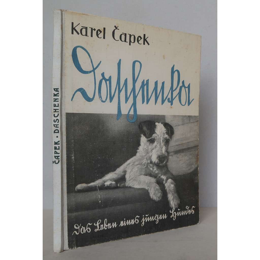 Daschenka oder Das Leben eines jungen Hundes [Dášeňka, čili, Život štěněte - německý překlad, příběhy pro děti, pohádky, kresby, fotografie]
