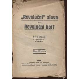 Revoluční slova nebo revoluční boj? (levicová literatura)