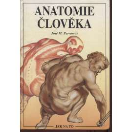 Anatomie člověka