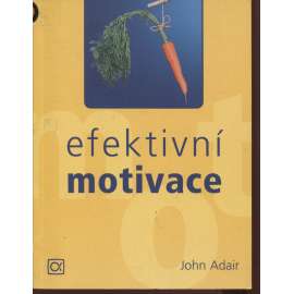 Efektivní motivace