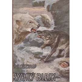 Rychlý blesk