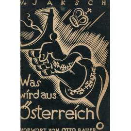 Was wird aus Österreich? [Co bude s Rakouskem? 1934; Rakousko; politika; sociální demokracie; levicová literatura]