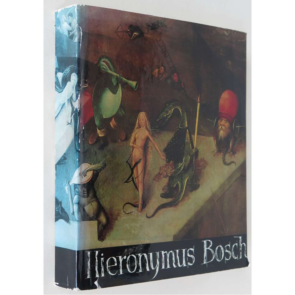 Hieronymus Bosch [umění; monografie]